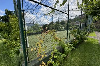 IMG_3183