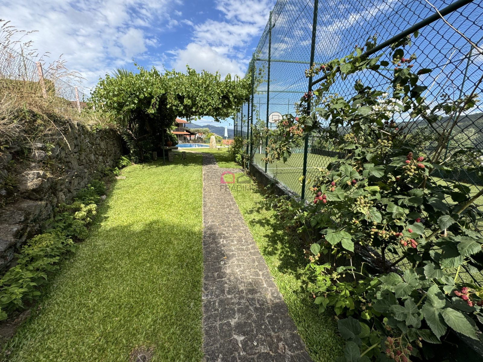 IMG_3188