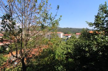 IMG_7239