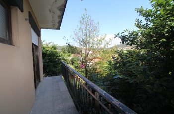 IMG_7240