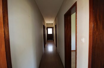 IMG_7241