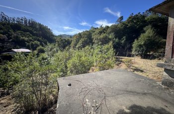 IMG_4491