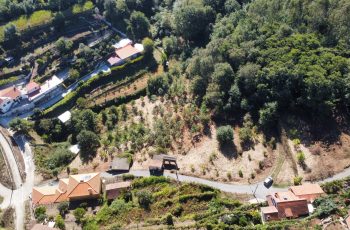 dji_fly_20240928_110442_724_1727517888660_photo_optimized