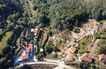 dji_fly_20240928_110512_725_1727517918787_photo_optimized
