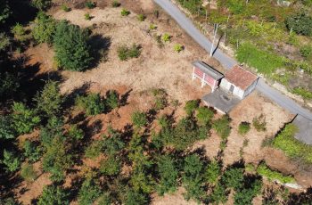 dji_fly_20240928_110724_729_1727518051466_photo_optimized