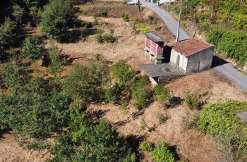 dji_fly_20240928_111008_734_1727518214329_photo_optimized