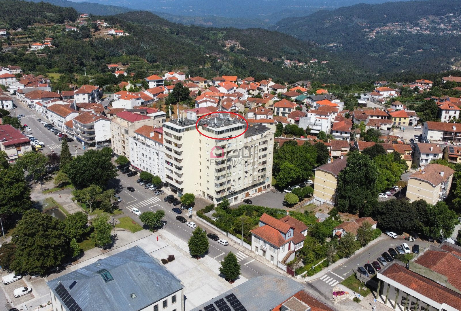 dji_fly_20250715_110554_408_1752573963977_photo_optimized.