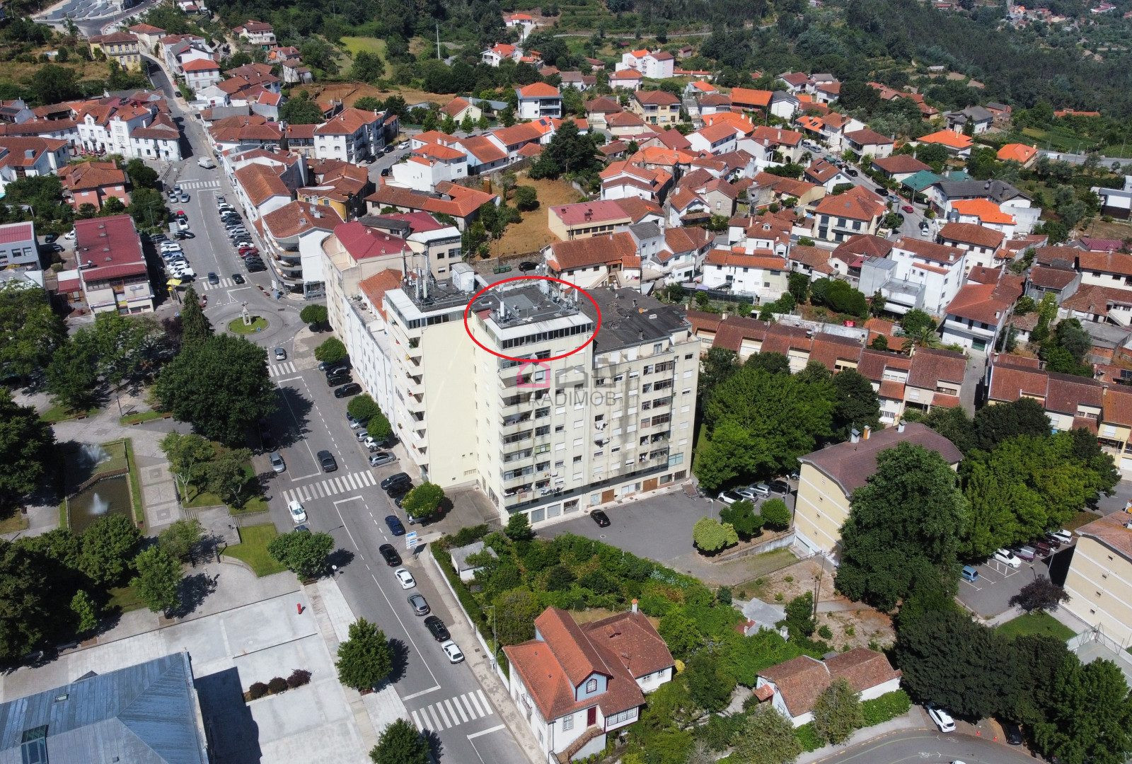 dji_fly_20250715_110618_411_1752573988524_photo_optimized.